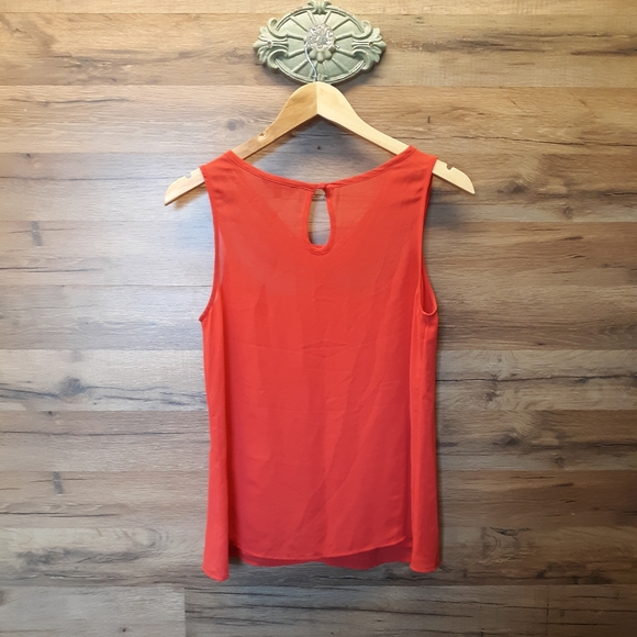 Naked Zebra Top - Picture 3 of 7